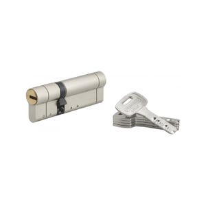 THIRARD - Cylindre de serrure double entrée Federal S, 30x60mm, nickel, anti-arrachement, anti-perçage, 5 clés
