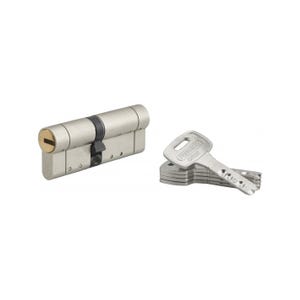 THIRARD - Cylindre de serrure double entrée Federal S, 35x45mm, nickel, anti-arrachement, anti-perçage, 5 clés