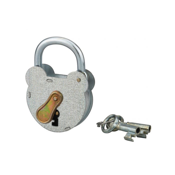 THIRARD - Cadenas à clé 2493, acier, extérieur, anse zinguée, 55mm, 2 clés