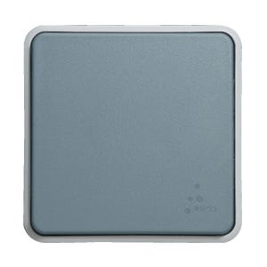 Bouton-poussoir PLEXO 10A gris mat - LEGRAND - 069540