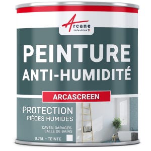 Peinture Anti Humidité Mur Humide Salle De Bain - Arcascreen - 0.75 L (jusqu'à 3 M²) - Arcane Industries