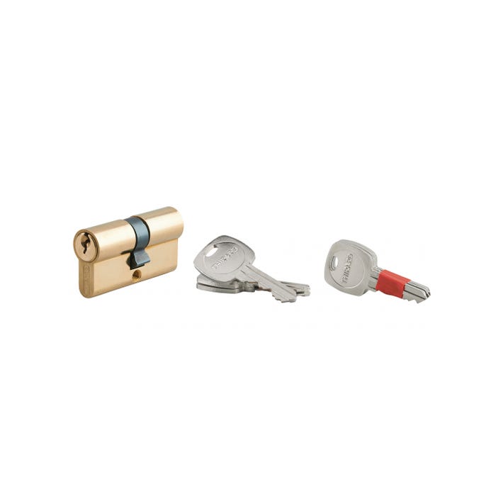 THIRARD - Cylindre de serrure double entrée clé modifiable, 30x30mm, anti-arrachement, anti-perçage, laiton, 2x3 clés