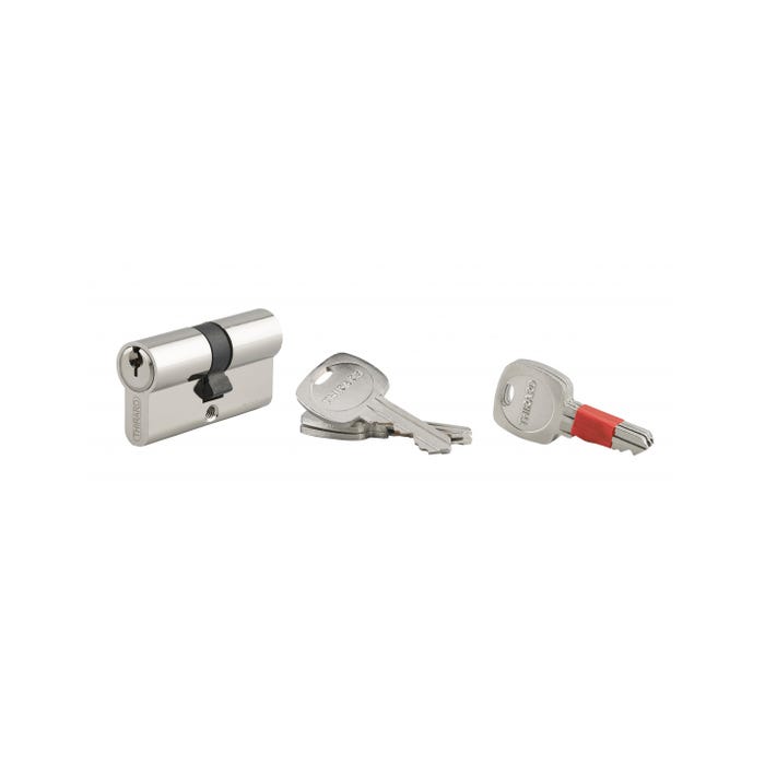 THIRARD - Cylindre de serrure clé modifiable, 30x30mm, anti-arrachement, anti-perçage, nickel, 2x3 clés