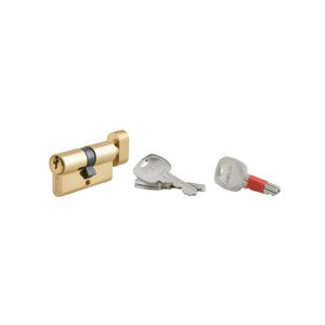 THIRARD - Cylindre de serrure à bouton clé modifiable, 30Bx30mm, anti-arrachement, anti-perçage, laiton, 2x3 clés