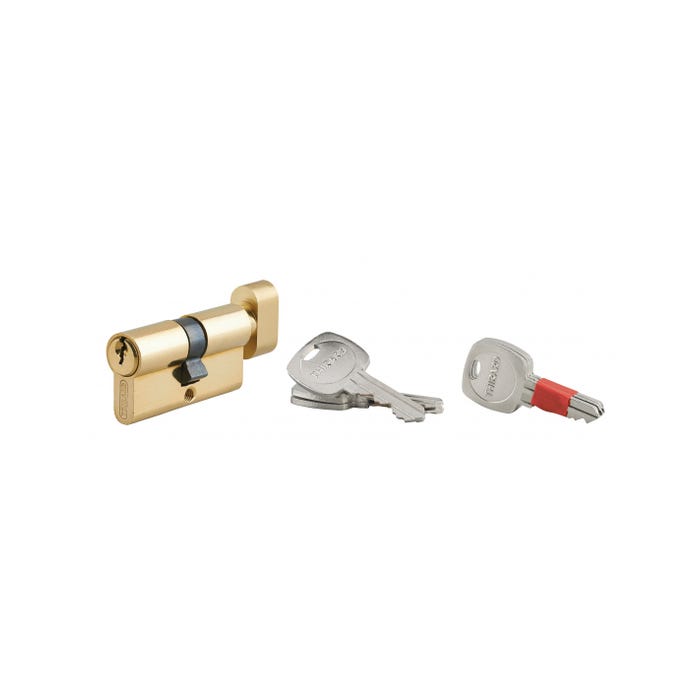 THIRARD - Cylindre de serrure à bouton clé modifiable, 30Bx30mm, anti-arrachement, anti-perçage, laiton, 2x3 clés