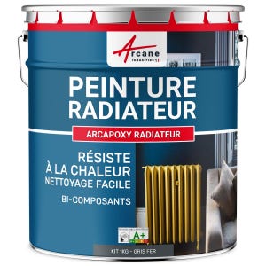 Peinture Radiateur fonte acier alu - PEINTURE RADIATEUR - 1 kg (jusqu'à 5 m² en 2 couches) - Gris fer - RAL 7011 - ARCANE INDUSTRIES