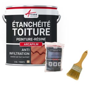 Kit Réparation Et étanchéité Tuile Et Toiture - Arcafilm Pack Paille - 2.5 L (jusqu'à 1.5 M²) - Arcane Industries