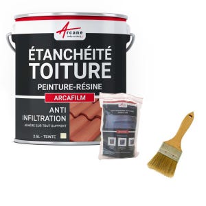 Réparation Et étanchéité Tuile Et Toiture - Arcafilm Pack Pierre De Taille - 2.5 L (jusqu'à 1.5 M²)