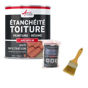 Kit Réparation Et étanchéité Tuile Et Toiture - Arcafilm Pack Tuile - 0.75 L (jusqu'à 0.5 M²) - Arcane Industries