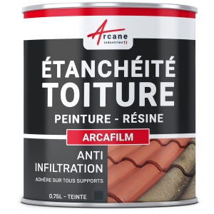 Résine étanchéité Coloré - Revêtement Pour Toiture Et Tuile : Arcafilm - Ardoise - 0.75 L - Arcane Industries