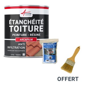 Kit Réparation Et étanchéité Tuile Et Toiture - Arcafilm Pack - Gris - 0.75 L (jusqu'à 0.5 M²) - Arcane Industries