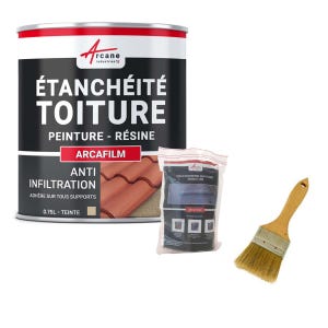 Kit Réparation Et étanchéité Tuile Et Toiture - Arcafilm Pack Paille - 0.75 L (jusqu'à 0.5 M²) - Arcane Industries
