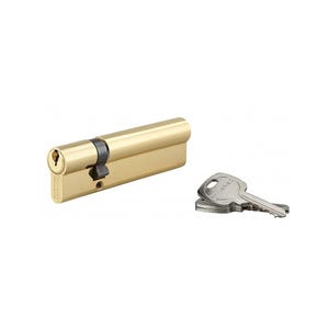 Cylindre de Serrure 30 x 80 mm 3 clés 16364 Thirard