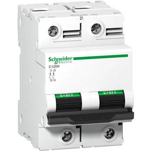 Schneider Electric A9N18500 A9N18500 Disjoncteur 63 A 250 V/DC