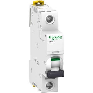 Schneider Electric A9F94101 A9F94101 Disjoncteur 1 A 230 V