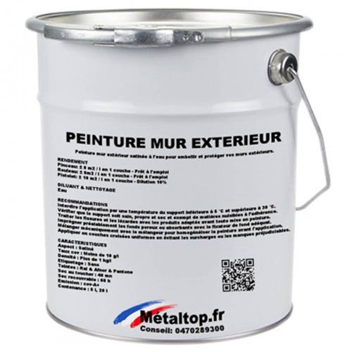 Peinture Mur Exterieur - Metaltop - Bleu vert - RAL 5001 - Pot 5L