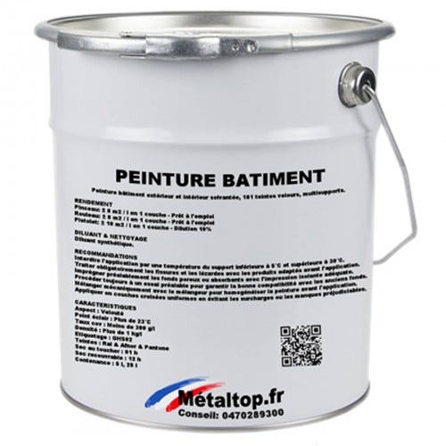 Peinture Batiment - Metaltop - Vert bouteille - RAL 6007 - Pot 5L