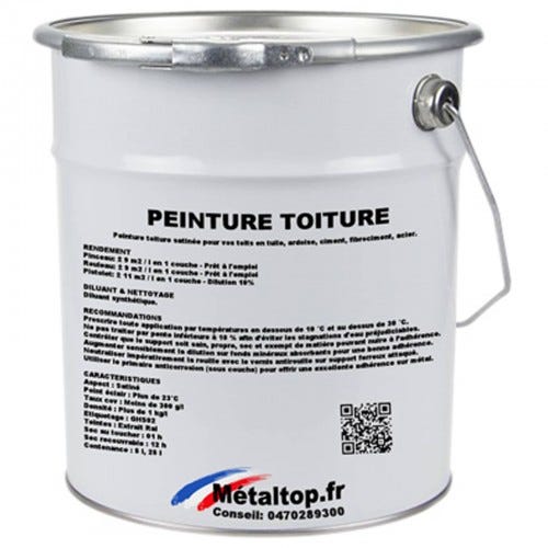 Peinture Toiture - Metaltop - Gris basalte - RAL 7012 - Pot 25L