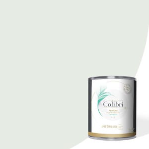 Peinture murs et plafonds biosourcée et dépolluante Blanc teinté Kaolin Velours 3L, COLIBRI