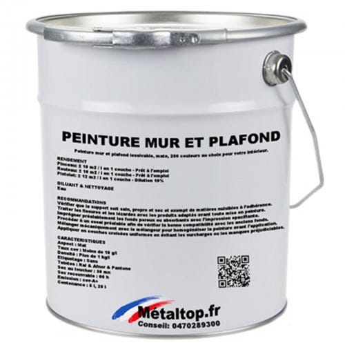Peinture Mur Et Plafond - Metaltop - Gris signalisation B - RAL 7043 - Pot 20L