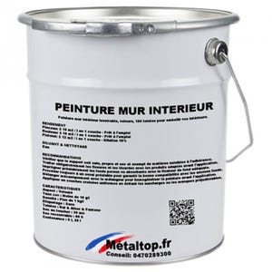 Peinture Mur Interieur - Metaltop - Gris signalisation A - RAL 7042 - Pot 20L