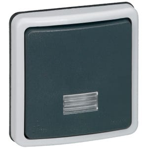 bouton poussoir lumineux - legrand plexo 66 - gris - composable