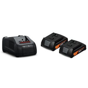 Pack de 2 batteries 18V GBA 2Ah AMPShare avec chargeur - FEIN - 92604244010
