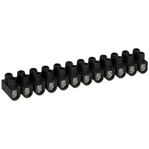 Domino électrique - Barrette acier noire 12 plots à vis 2,5 mm² - 24A