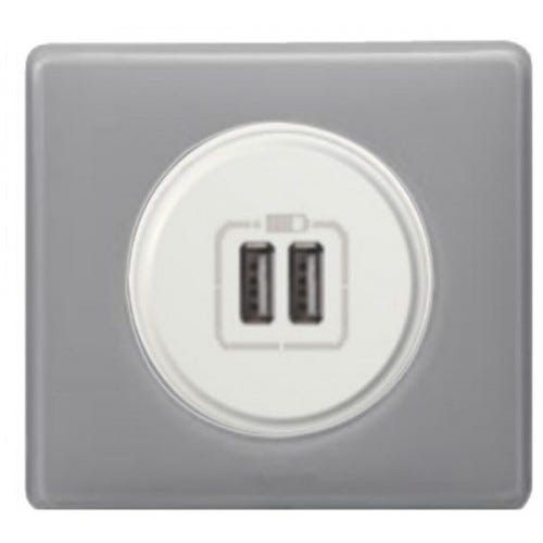 Chargeur USB double Type-A Céliane gris Perle Non Legrand