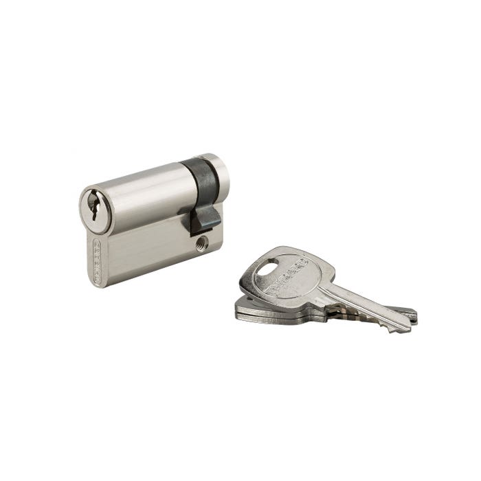 THIRARD - Demi-cylindre de serrure, 40x10mm, anti-arrachement, nickel, 3 clés