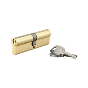 THIRARD - Cylindre de serrure double entrée, 50x50mm, anti-arrachement, laiton, 3 clés