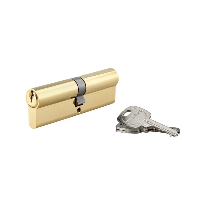 THIRARD - Cylindre de serrure double entrée, 50x50mm, anti-arrachement, laiton, 3 clés