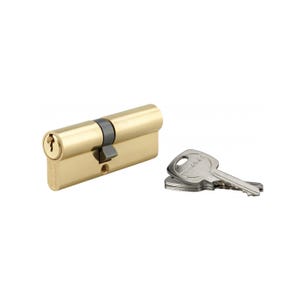 THIRARD - Cylindre de serrure double entrée, 35x45mm, anti-arrachement, laiton, 3 clés