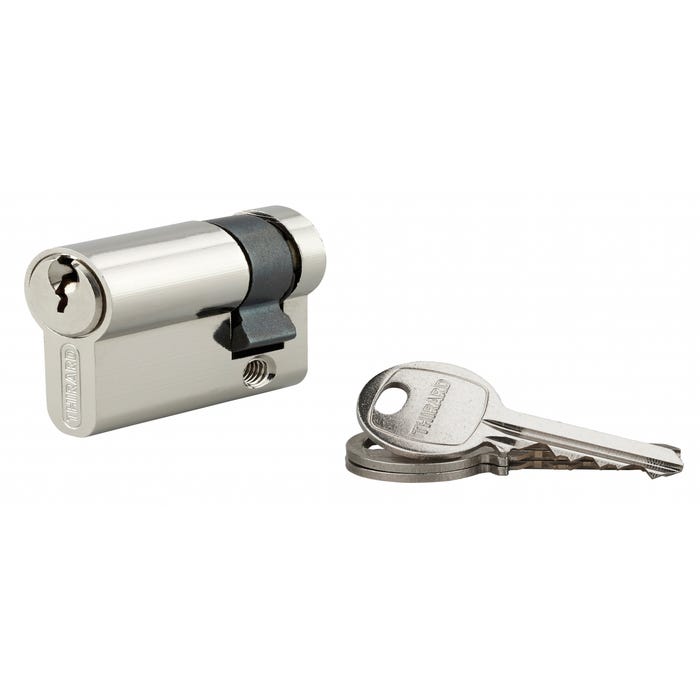 THIRARD - Demi-cylindre de serrure SA UNIKEY (achetez-en plusieurs, ouvrez avec la même clé), 30x10mm, 3 clés, nickel