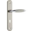 ENSEMBLE POIGNEES DE PORTE SUR PLAQUE ENTRAXE 195 MM LENY ZAMAK NICKEKE MAT CLE L