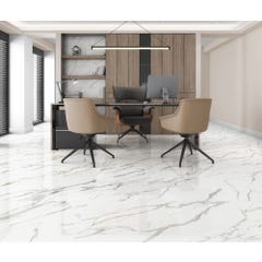Carrelage intérieur de sol et murs poli effet marbre l.60 x L.120 cm Salamanca