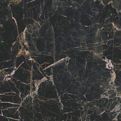 Carrelage de sol intérieur noir brillant effet marbre l.60 x L.60 cm Marquina