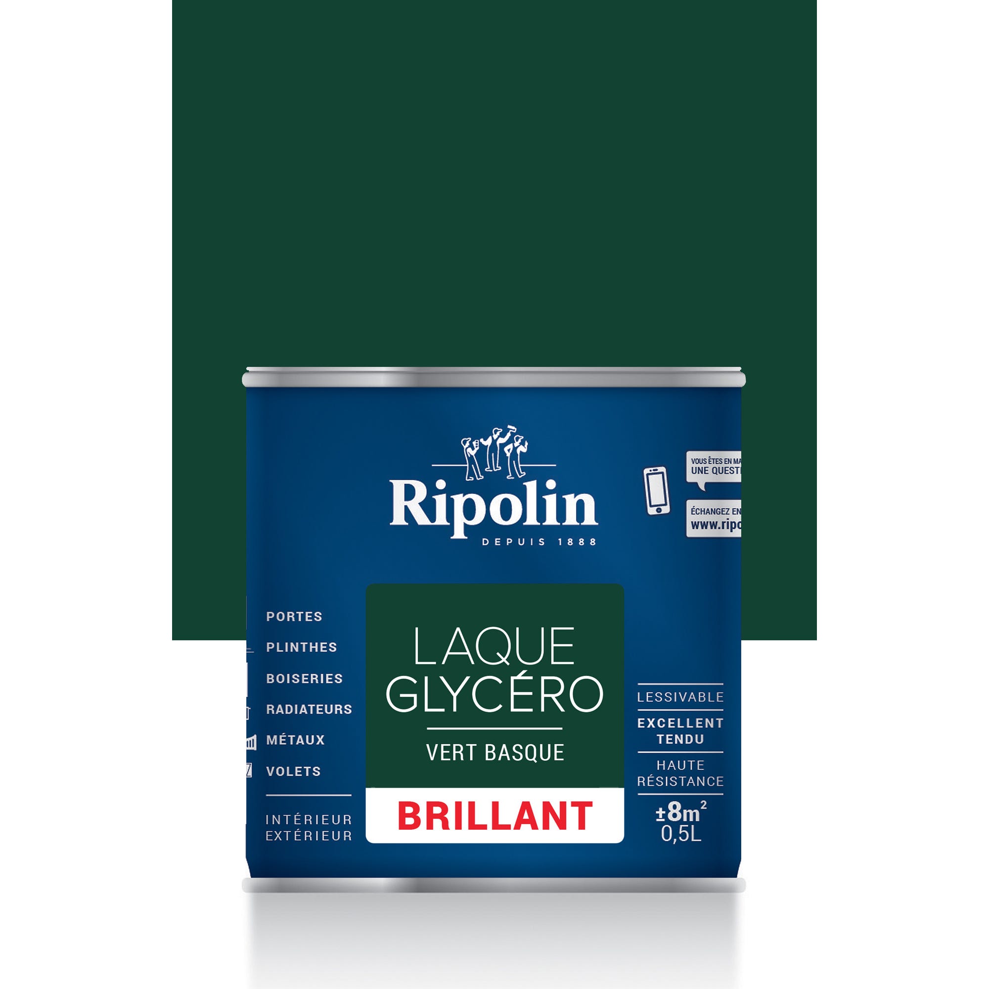 Peinture intérieure et extérieure multi-supports glycéro brillant vert basque 0,5 L - RIPOLIN 0