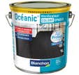 BLANCHON VITRIFICATEUR OCEANIC COLORE OPAQUE GRIS 2.5 L