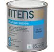 Peinture intérieure multi-supports acrylique monocouche satin bleu zéphir 0,5 L - INTENS