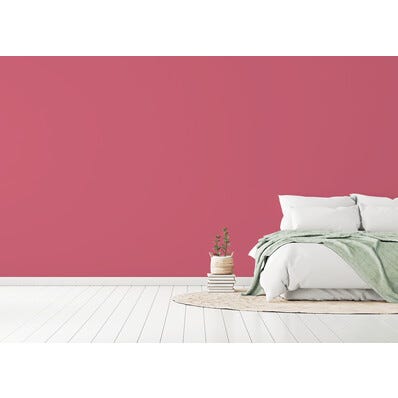 Peinture intérieure velours rose crank teintée en machine 3 L Altea - GAUTHIER