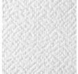 TASSOGLAS TOILE DE VERRE G602c 245 g/m² 25 ML