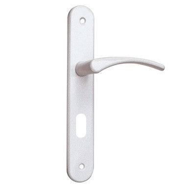 ensemble poignees de porte sur plaque entraxe 195 mm aluminium laque blanc cle l elise chainey bricoman