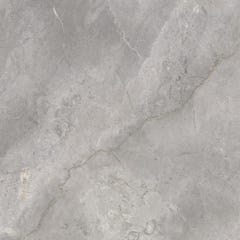 Carrelage de sol intérieur gris effet pierre l.60 x L.60 Masterstone