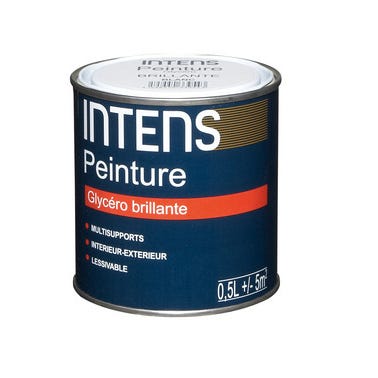 Peinture intérieure et extérieure multi-supports glycéro brillant gris 0,5 L - INTENS 0