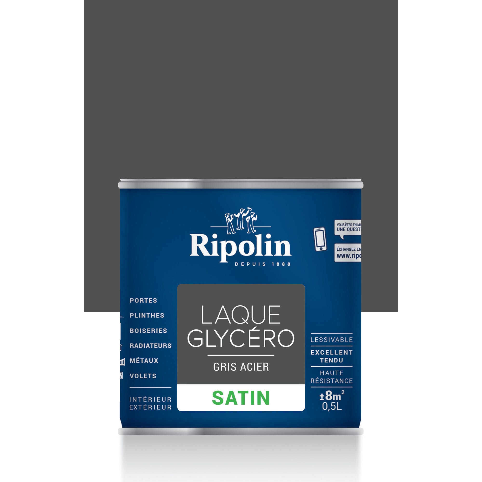 Peinture intérieure et extérieure multi-supports glycéro satin gris acier 0,5 L - RIPOLIN 0