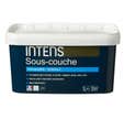INTENS Sous-couche universelle acrylique 5 L
