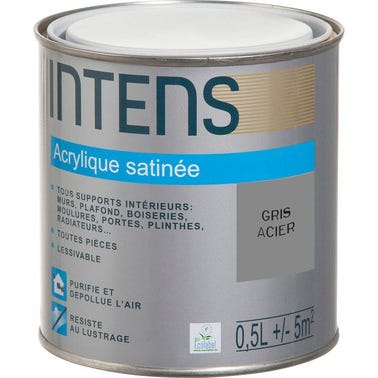 Peinture intérieure multi-supports acrylique monocouche satin gris acier 0,5 L - INTENS 0