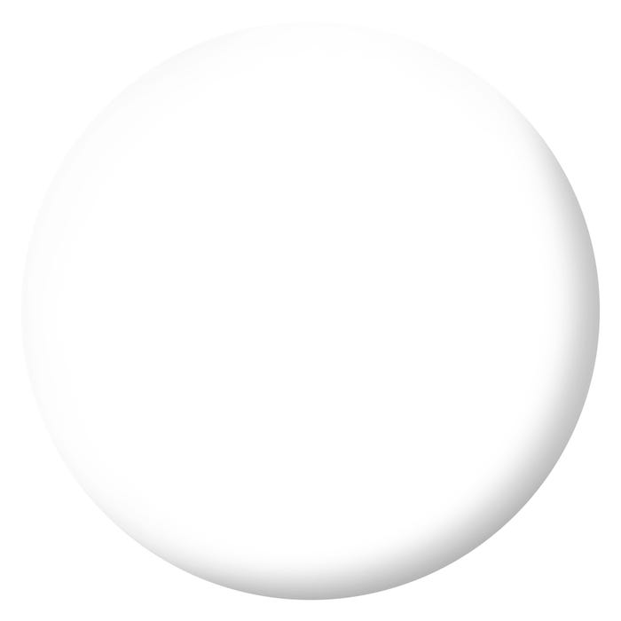 Peinture intérieure et extérieure multi-supports glycéro satin blanc 2 L +20% - RIPOLIN 1