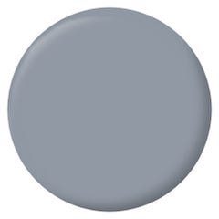 Peinture intérieure et extérieure multi-supports glycéro satin gris bouleau 0,5 L - RIPOLIN 1